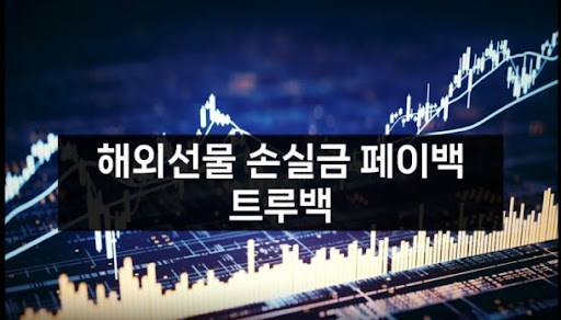 트루백: 해외선물미니업체에서의 안정적인 수익 모색