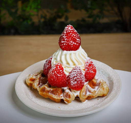 카페달곰으로 보는 전주한옥마을맛집 디저트 선택 기준