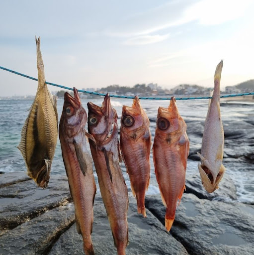 속초사이버장터에서 맛보는 신선한 반건조 우럭
